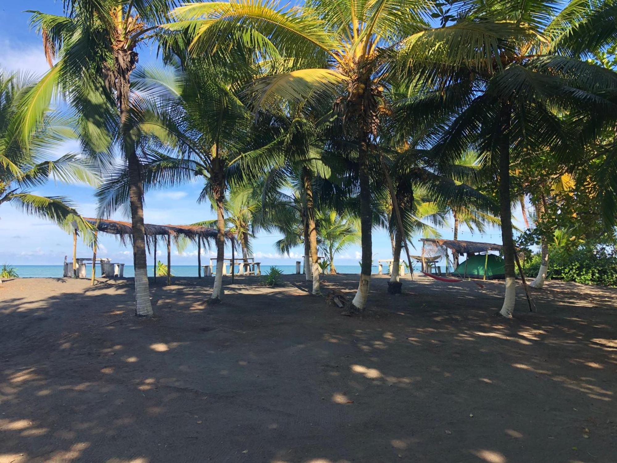 Babsita Campsite